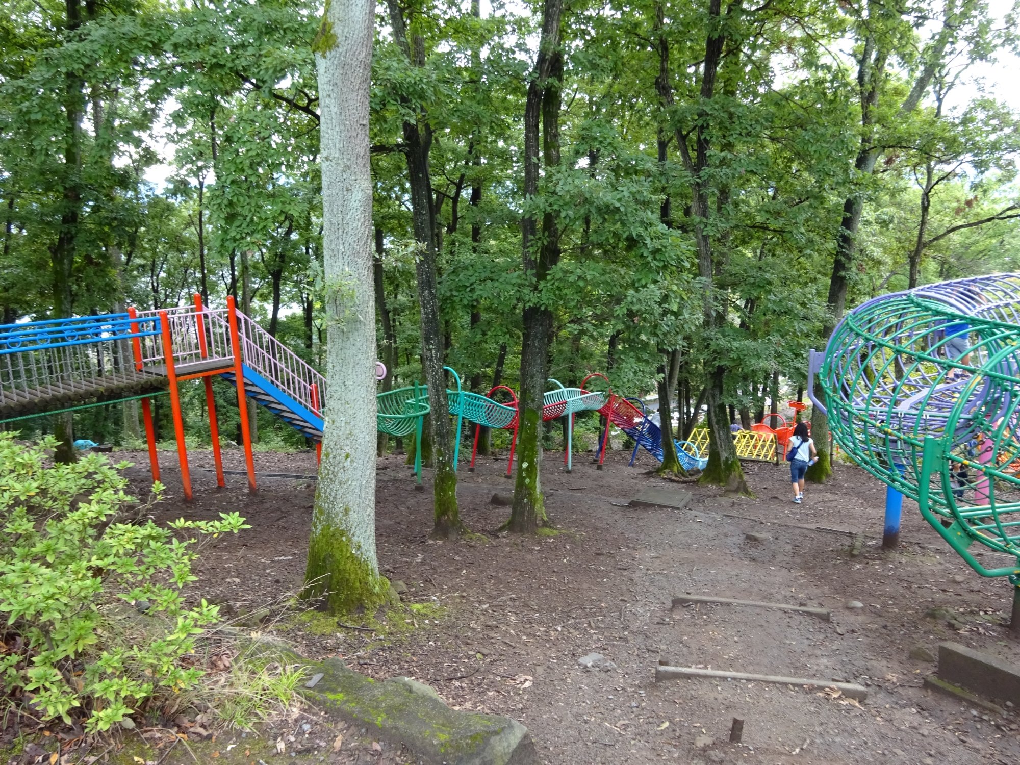 山梨県立愛宕山こどもの国・少年自然の家の施設評判オトコロドットコム