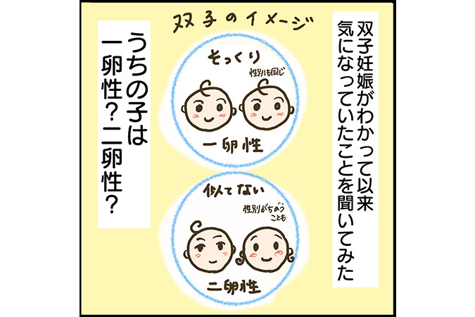 一卵性と二卵性の違いは？ 双子の妊娠・出産に関する基礎知識まとめパピマミ – 子育ての”ひとりごと”を”ふたりごと”に