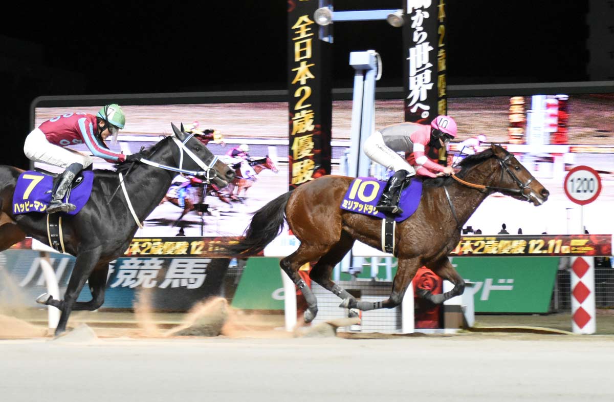 競馬の2歳馬の情報を見られるオススメサイト3選と勝率アップ方法 | 競馬情報ナビ