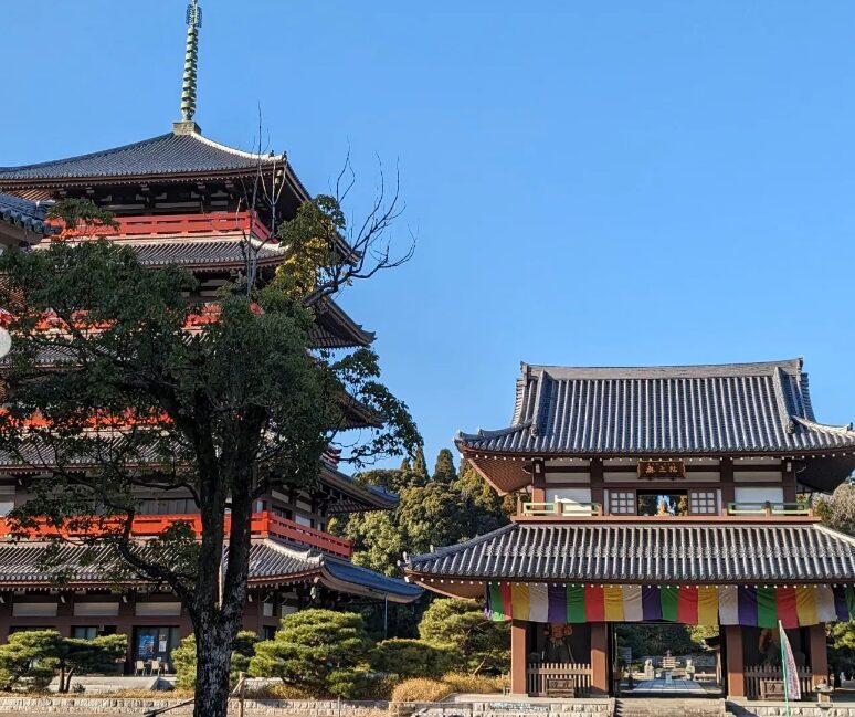 縁結び神社≪熊本県の恋愛神社≫
