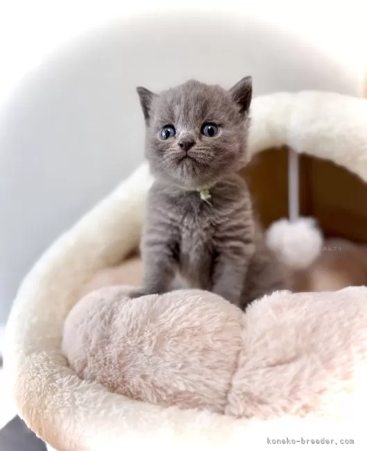 深く生きる」を応援するTSURUMIこどもホスピス