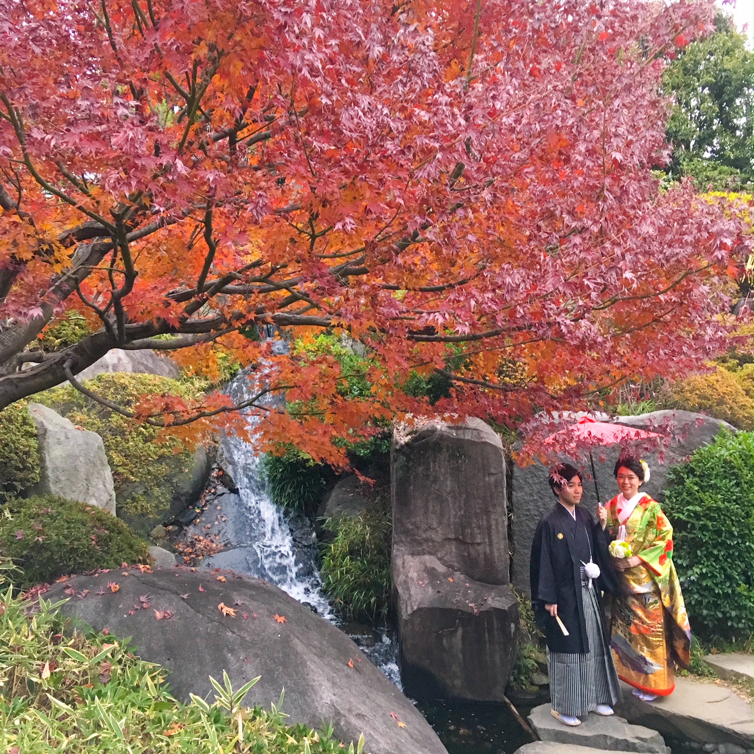 目白庭園にて前撮り撮影♡先輩花嫁様ウェディングドレスレンタルのブライダルヒロ 東京