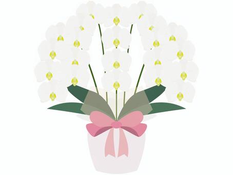 開店祝い 開業祝い お祝いメッセージボード 開店祝い i10 プリザーブドフラワー フラワー 花 お祝い 記念日 その他雑貨 GiFTY 通販14651372Creema クリーマ