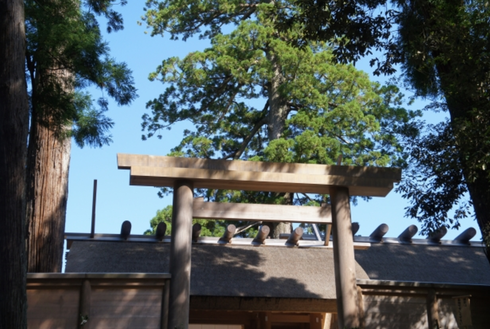 天河神社に呼ばれる人 奈良の山中の芸術の神に招かれるタイミングとは神社行くんじゃ