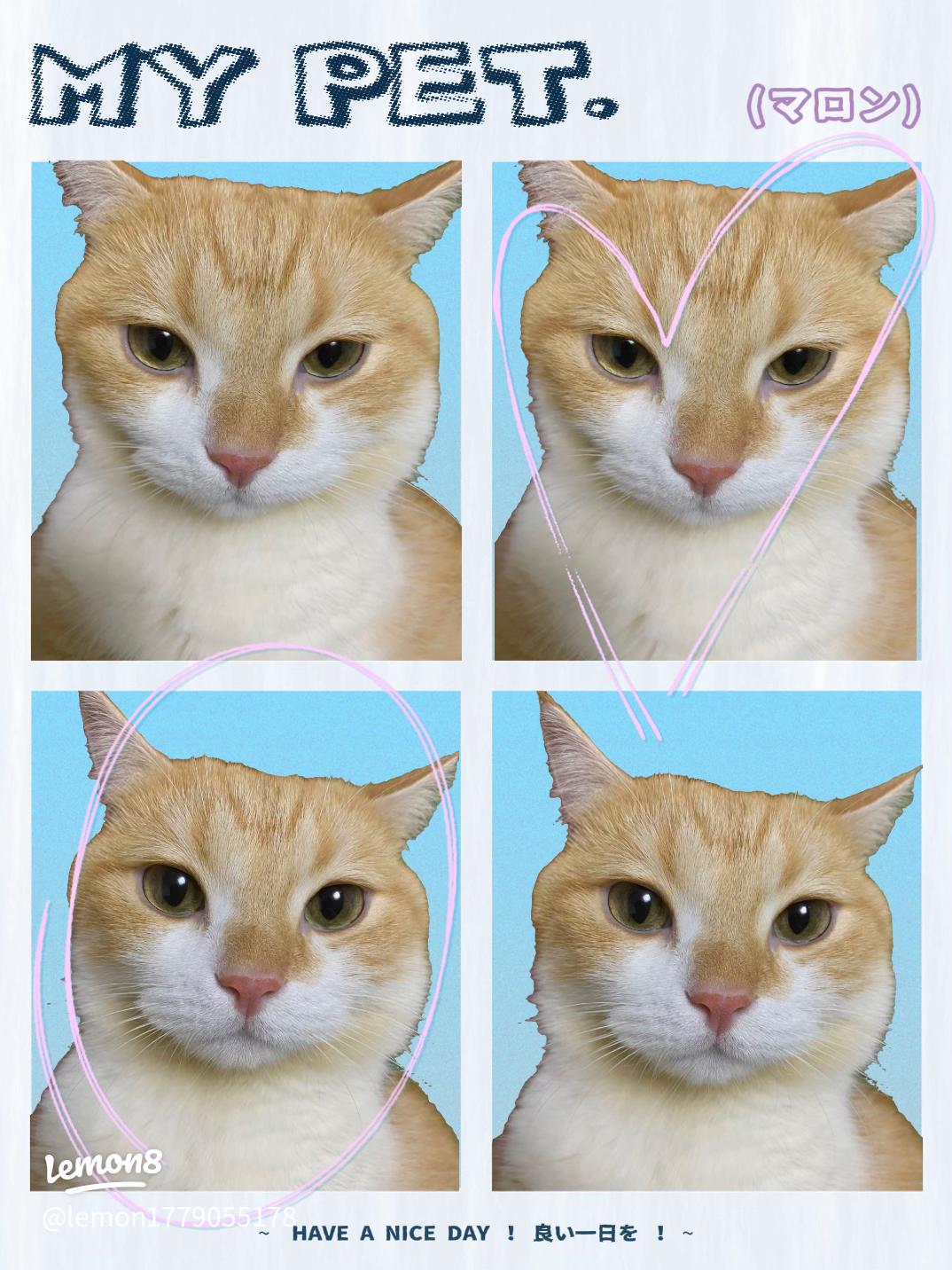 流行りの顔隠しスタンプ 実はSNOWにもあるって知ってた？💖snowカメラアプリ顔隠しヌン活推し活アフタヌーンティージャニオタさんと繋がりたいヌン活女子推し活量産型ヲタク