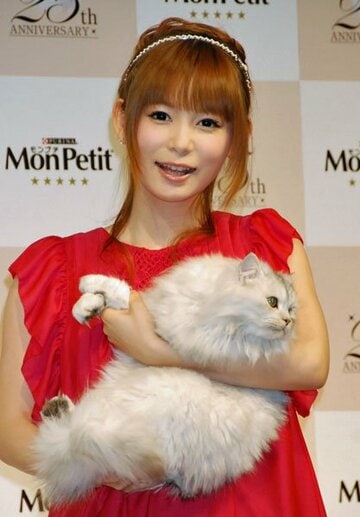 写真：しょこたんの母・中川桂子さん 愛猫に顔傷つけられるも「翔子が怪我しなくて本当に良かった」東スポWEB