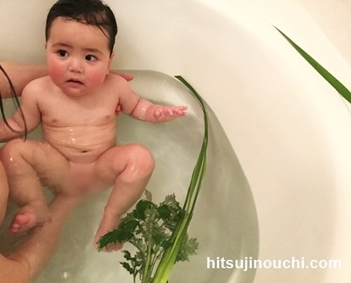 こどもの日の菖蒲湯！意味、作り方・入り方、効果・効能は？ - ハテ？なる