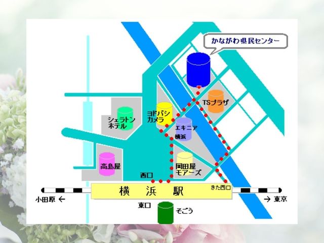 ビストロ パニエ（上大岡/弘明寺 ビストロ）のグルメ情報 |