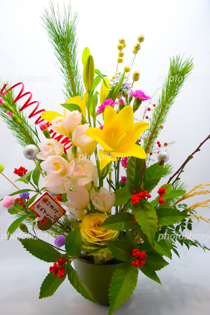 お正月 写真素材3481155- フォトライブラリ