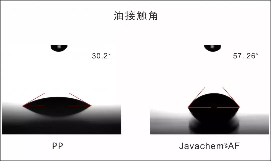 野鳥撮影には、絶対的に便利な親指AFを使いましょう：野鳥の撮りかた12｜中級講座｜キヤノンバードブランチプロジェクト