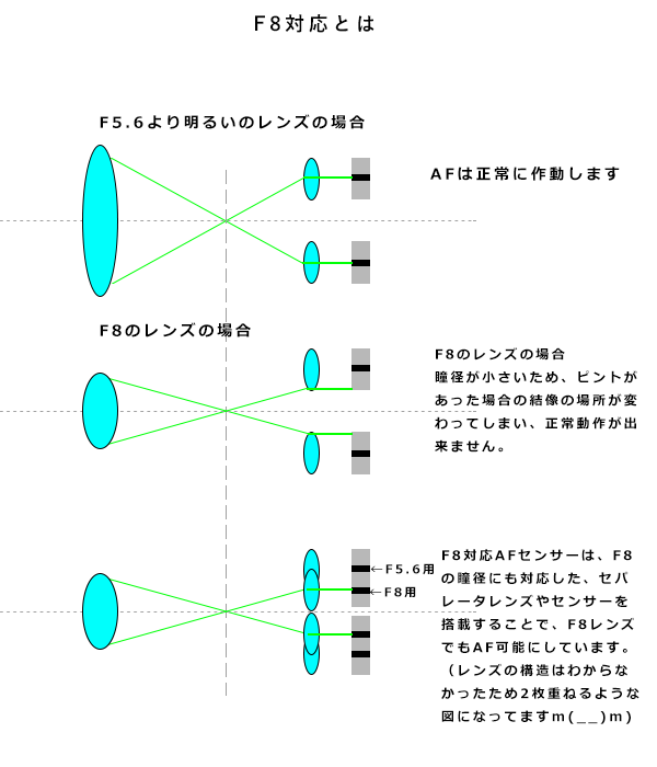 風俗業界未経験者が知っておくべき！専門用語と隠語完全ガイド