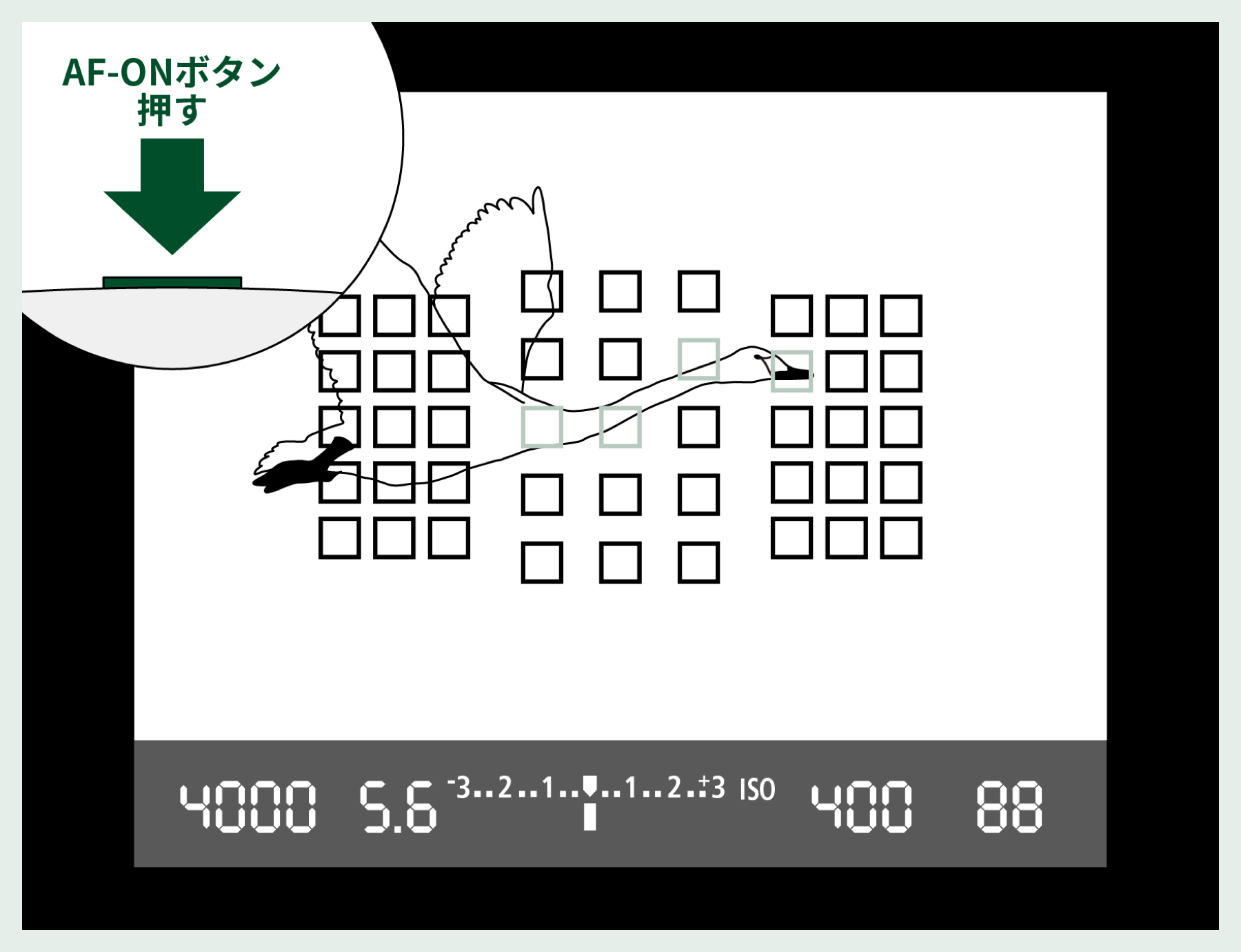 AF（心房細動）の心電図の特徴とは？ | 心電図の達人