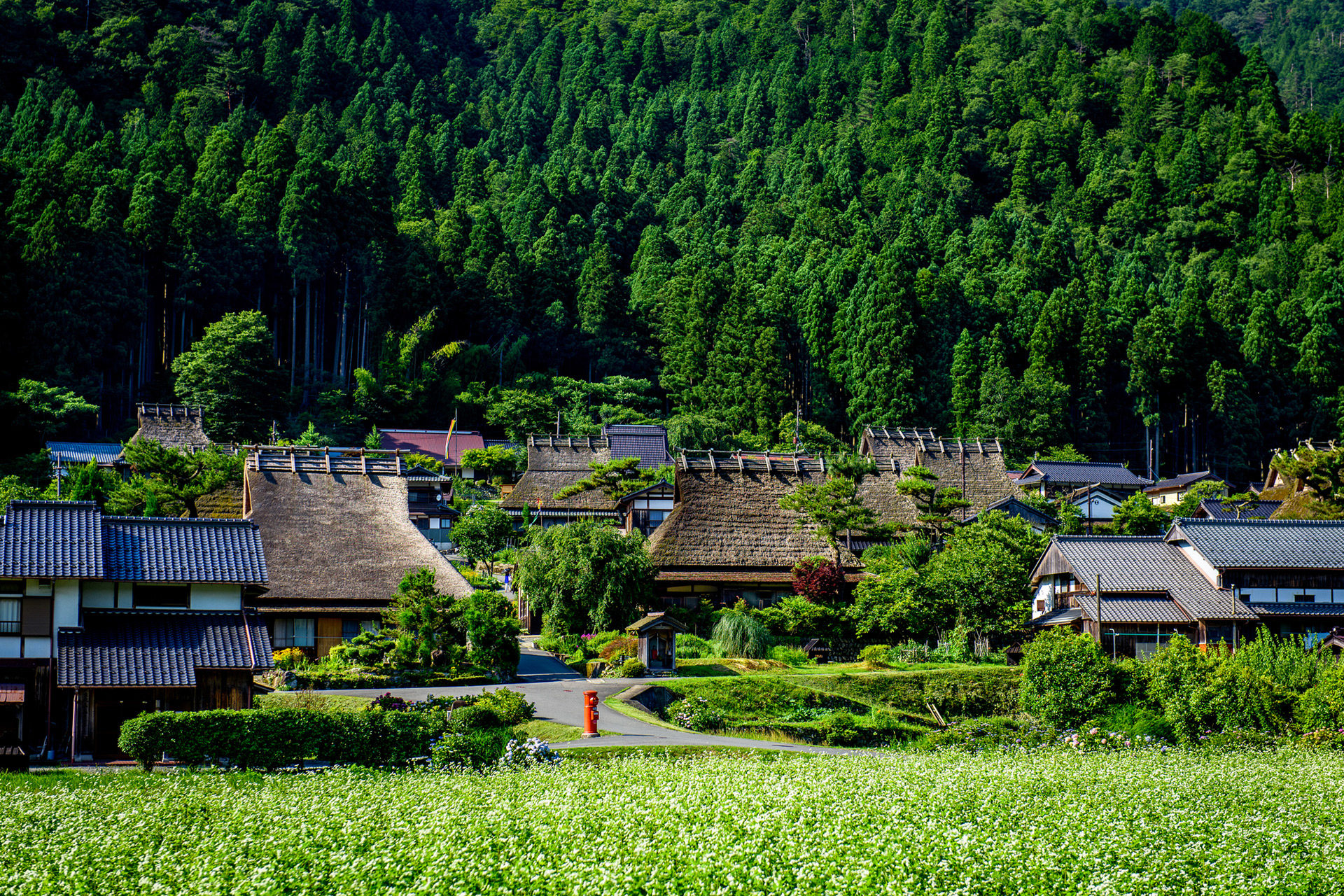 京都のおすすめ観光スポット】春夏秋冬行きたい古都の街！ | SPIBRE