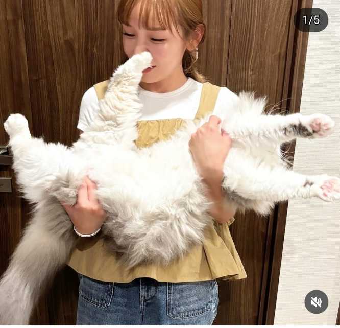 セクシー女優疑惑 加護亜依の実家・夫の年齢や子供の名前！母へもオファーが！？素朴な疑問.com