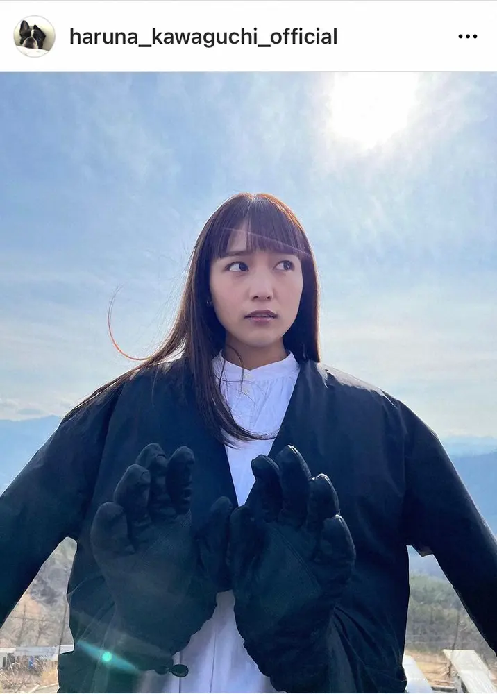 川口春奈の父親は事故で他界！事故の原因について調査！ロロブロ