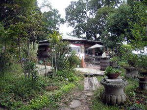 花子家 ダイニング居酒屋 三郷 居酒屋- Retty レッティ