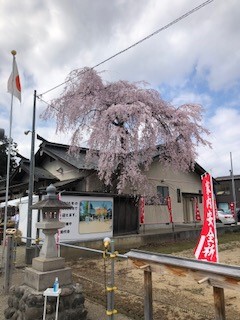 日常にバスケットが浸透」B1初陣前に長崎ヴェルカ伊藤拓摩GM兼社長インタビュー長崎のニュース天気NBC長崎放送1ページ