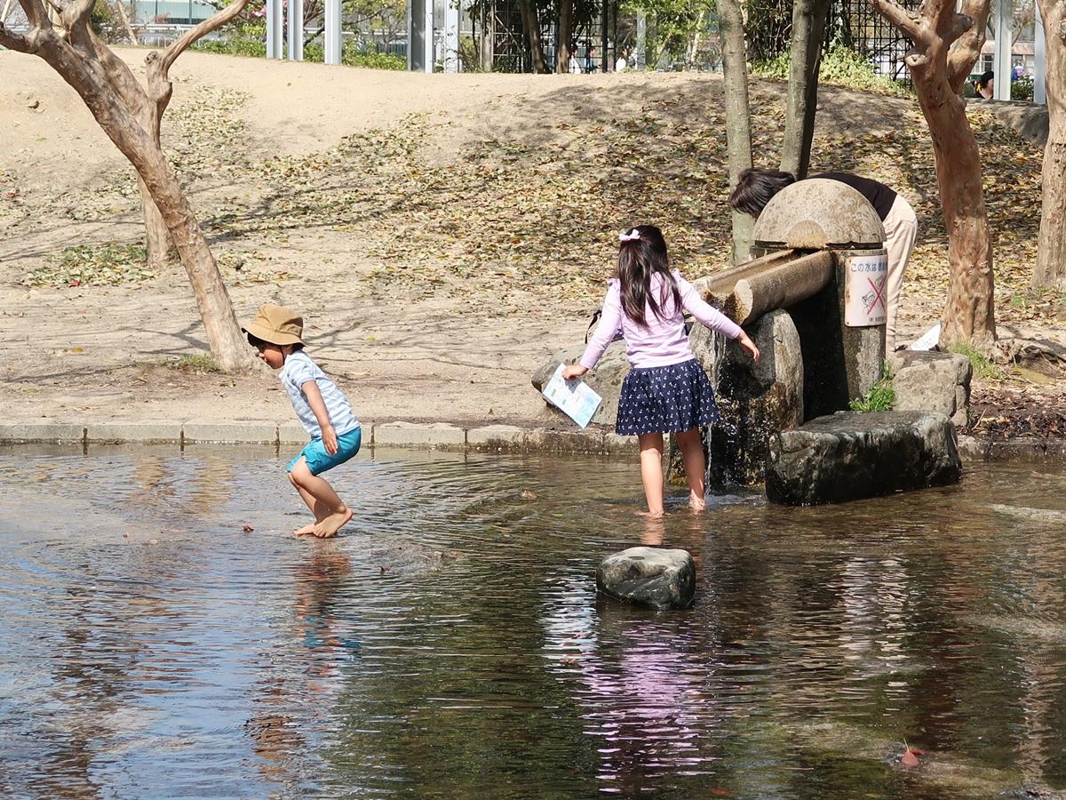 大好きな水遊びの季節がきたー🌻👙😎 子供達も大きくなったので、夏に向けて水着を新調しました♡子供とお出かけあいかわ公園女の子ママ姉妹ママfamilyphotoファミリーフォト家族写真kidsgrammamagram花楓の日々コレ