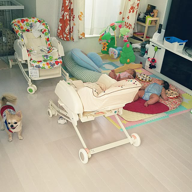 赤ちゃんと犬のいる暮らしのインテリア実例RoomClip ルームクリップ