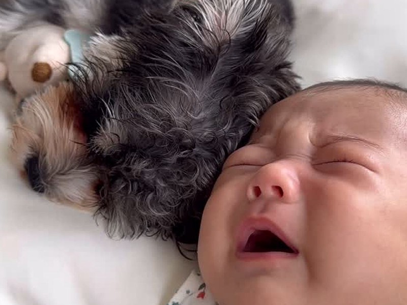 嬉しいお言葉をたくさんいただきました✨ ありがとうございます。 ベビーちゃんを囲んで皆さまステキな笑顔ですね😊おとめクリニック横浜市都筑区産科婦人科センター南無痛分娩駅近徒歩2分 徒歩2分ホテルにこにこ美味しいご飯美味しいおやつ提携