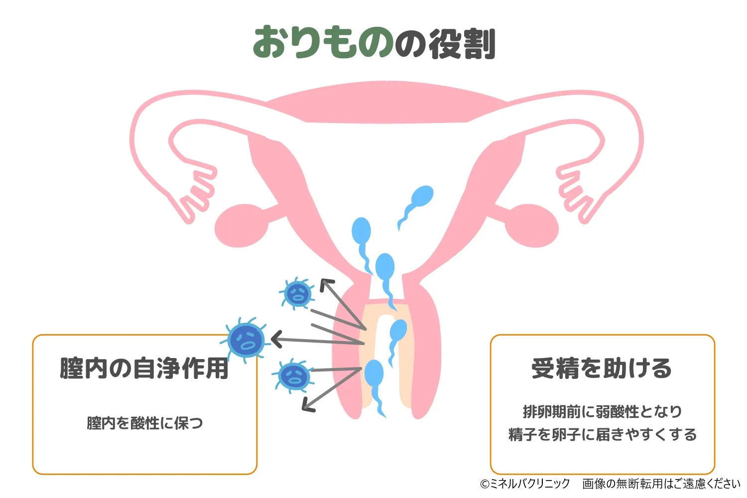 生理前のおりものが増えて気になる！白い塊や酸っぱい臭いは大丈夫なの？ | 卵子凍結保管 グレイスバンク