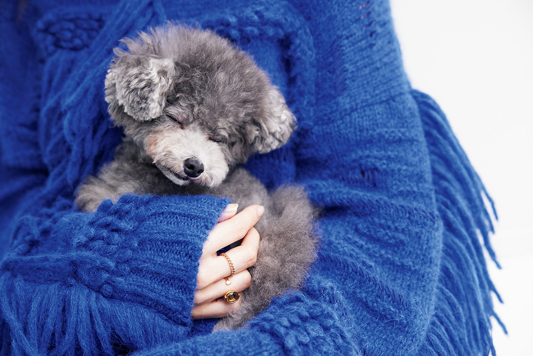 写真 田中みな実「左肩に60万円バッグ、右手に犬のフン」真似できない総額100万円ファッションセンスNEWSポストセブン - Part 16