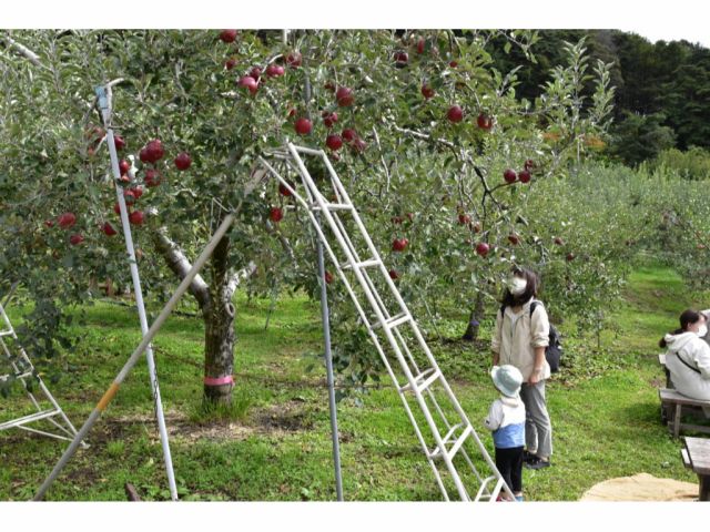 しんどさを競い合うのは不毛。夫婦で役割分担をすり合わせるのに必要ななものとは？ 漫画家・ツルリンゴスターさんインタビュー - レタスクラブ