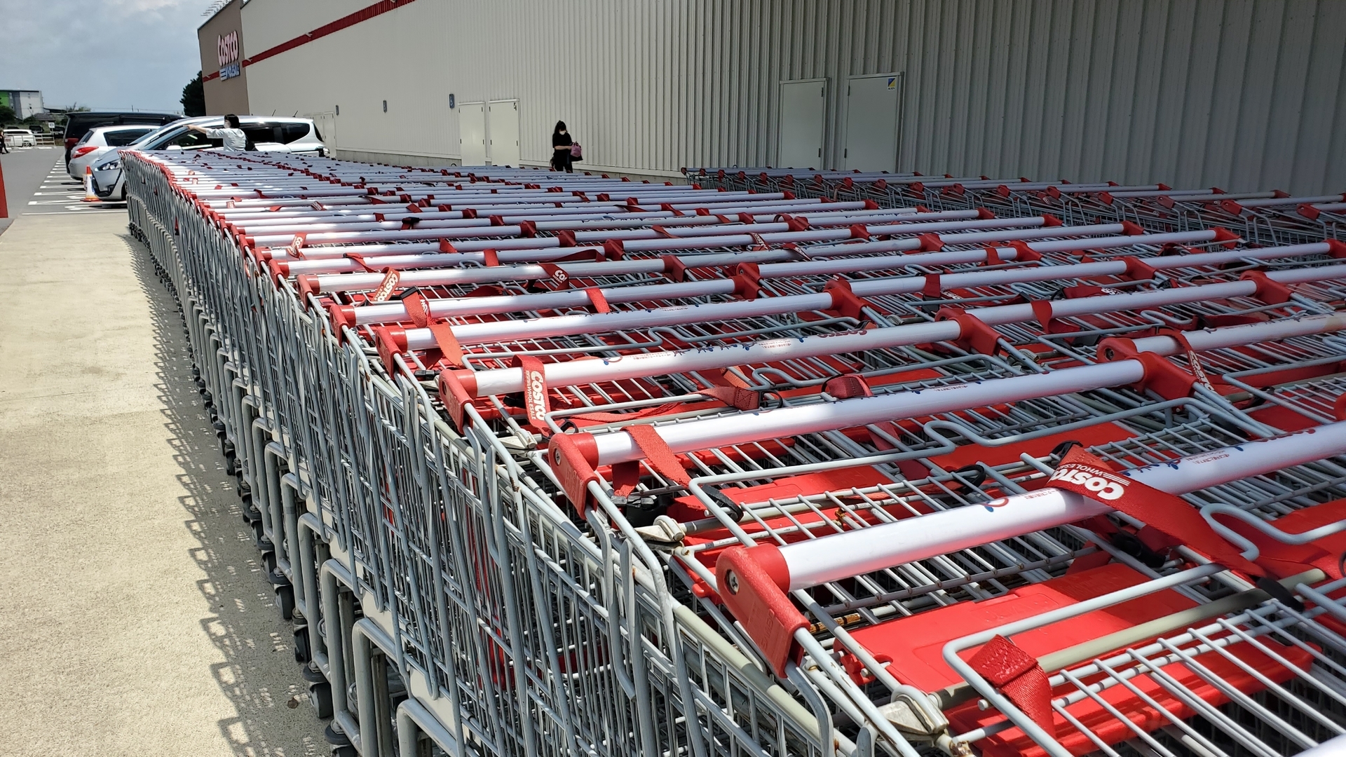 コストコの買い物カートについてコストコ通 コストコおすすめ商品の紹介ブログ