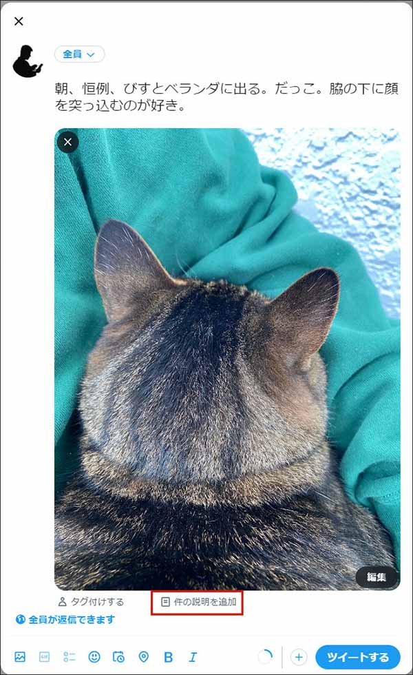 猫顔隠し」のアイデア 8 件顔隠し, 猫 ステッカー, 猫