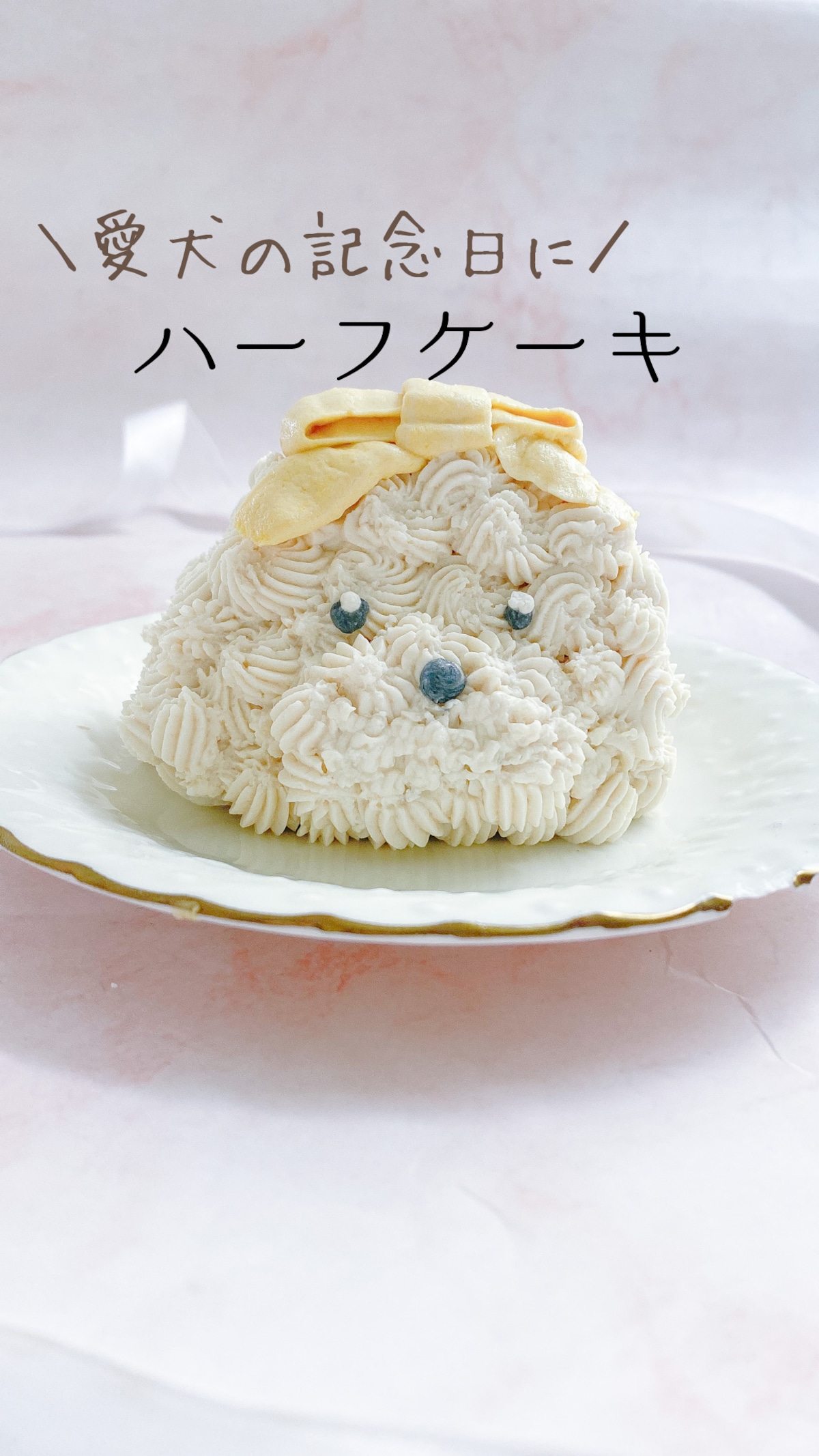 楽天市場 ハーフ バースデー ケーキ 犬用品ペット・ペットグッズ の通販