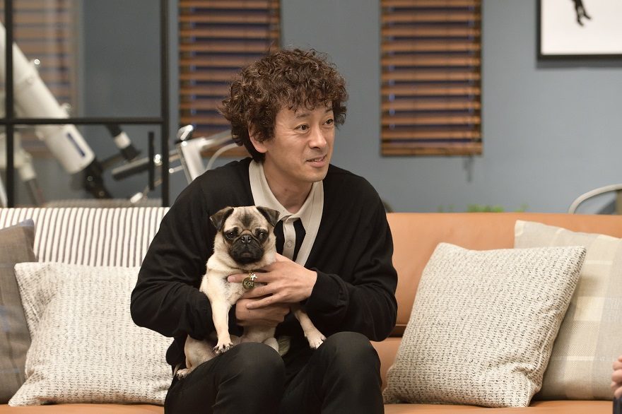 写真 7 7枚 カンテレ提供 まだ結婚できない男：阿部寛“桑野”＆パグの見つめ合いに反響 次回予告の「ケン！」に「グッときた」の声も-MANTANWEB まんたんウェブ