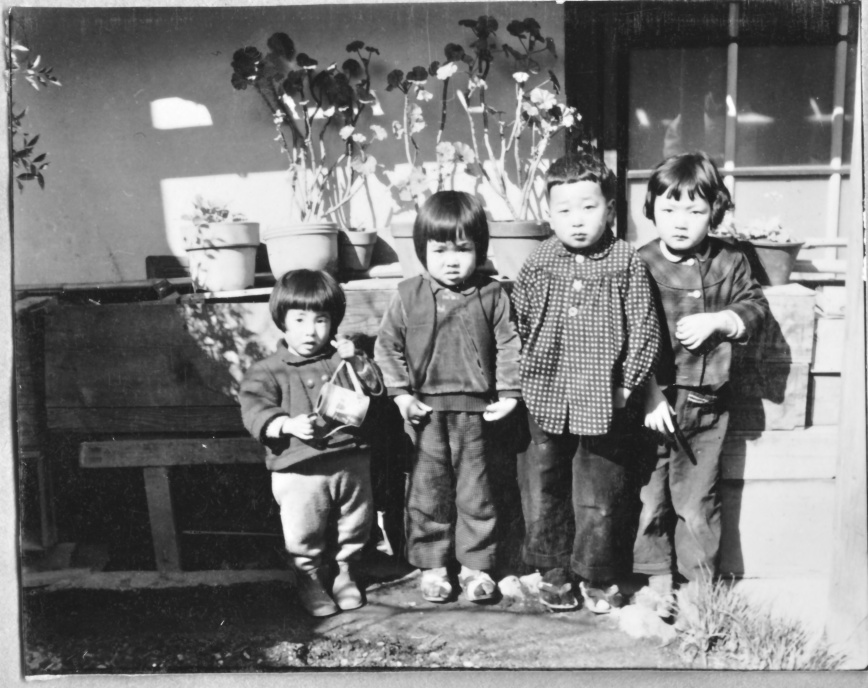 画像のページ 8