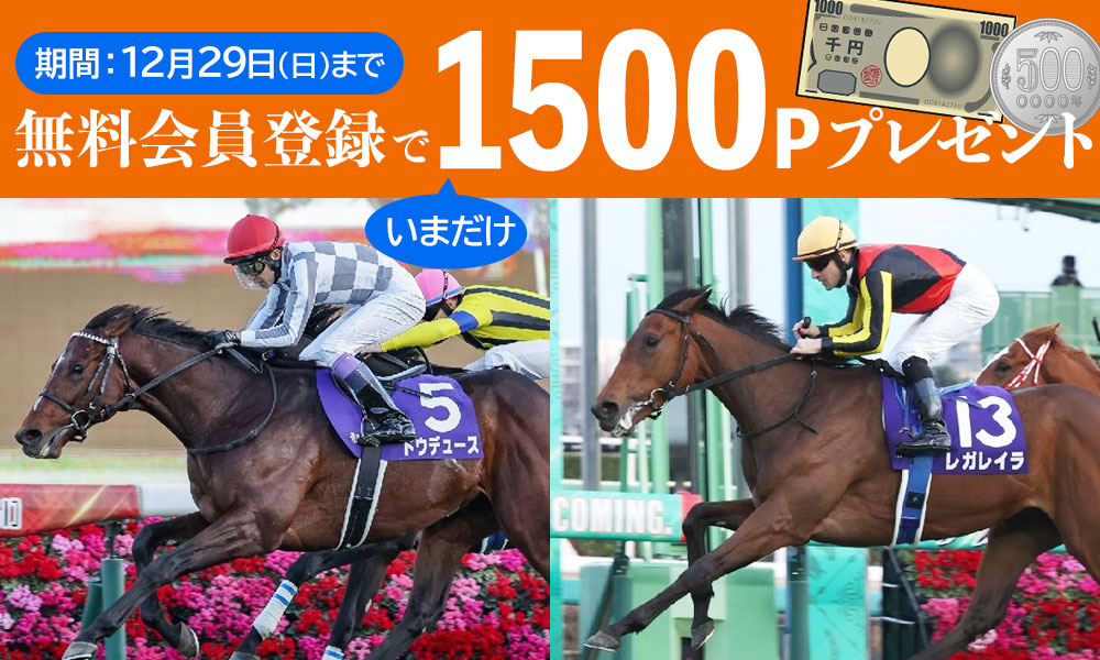 発表！ 2歳馬チェックランキング牝馬編 独自☆評価で挑む阪神ＪＦ予想 - スポーツナビ