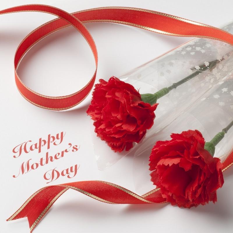 How to make a Mother’s Day Carnation Pop Up Card母の日、カーネーションのポップアップカード@paper_curiosity