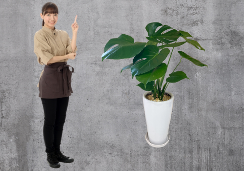 風水で結婚できない部屋を改善！好きな人と結婚したい方へパワーストーンの風水ストーンきらきらラボ