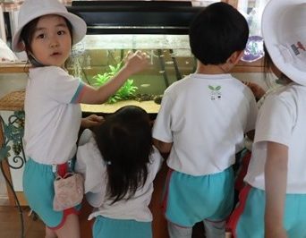 🩷 きゅーすとこどもの日 桜庭遥花🎏🩷 本日5 5は こどもの日 👶🏻 CUTIE STREET秘蔵❕ 幼少期の写真を大公開💮💯小さい頃からピンクをまとって よく眠る子は🩷桜庭遥花 @pa___.ru 🎧かわいいだけじゃだめですか？https:kawaii-lab.lnk.to Cant_we_just_be_cute