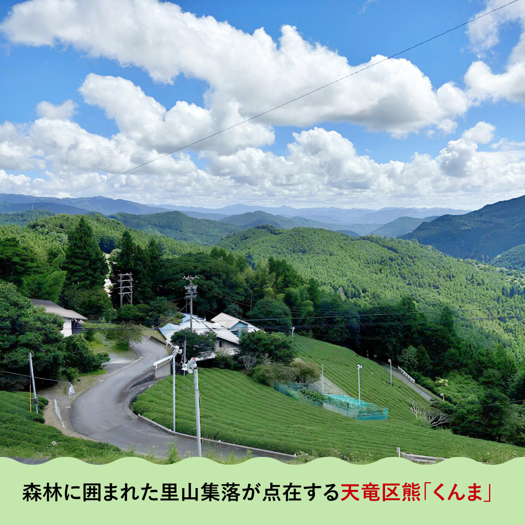 トー横に東京都が相談窓口 予約不要で30日まで：東京新聞デジタル