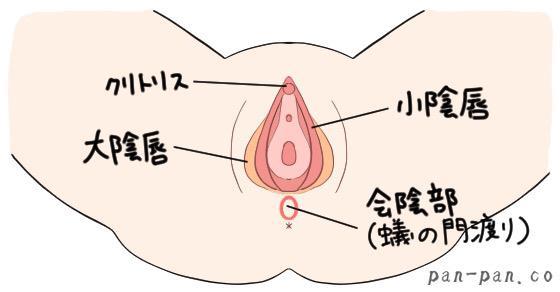 女性を気持ちよくさせるクリトリス愛撫（指マン）の手順とやり方を図解付きで教えます！ - sexprogress.com