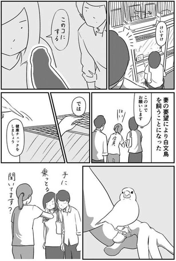 すみれエッセイ漫画はInstagramを利用しています:「ハルくんへ あと8年ですね🤗 馴れ初め漫画 なれそめ漫画 インスタ漫画 コミックエッセイ エッセイ漫画 カップル漫画 日常漫画 日常エッセイ カップルエッセイ カップルエッセイ 漫画 夫婦エッセイ 夫婦