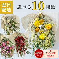 ドライフラワー ブーケ 通販 花束 女性 卒業式 卒園式 退職祝い 誕生日 先生 男性 おしゃれ かわいい 敬老の日 母の日 父の日 30代 40代50代 プチギフト ギフト 贈り物 グローバルアロー インテリア即日発送 ドライフラワーローヤル・パープル : BACKYARD