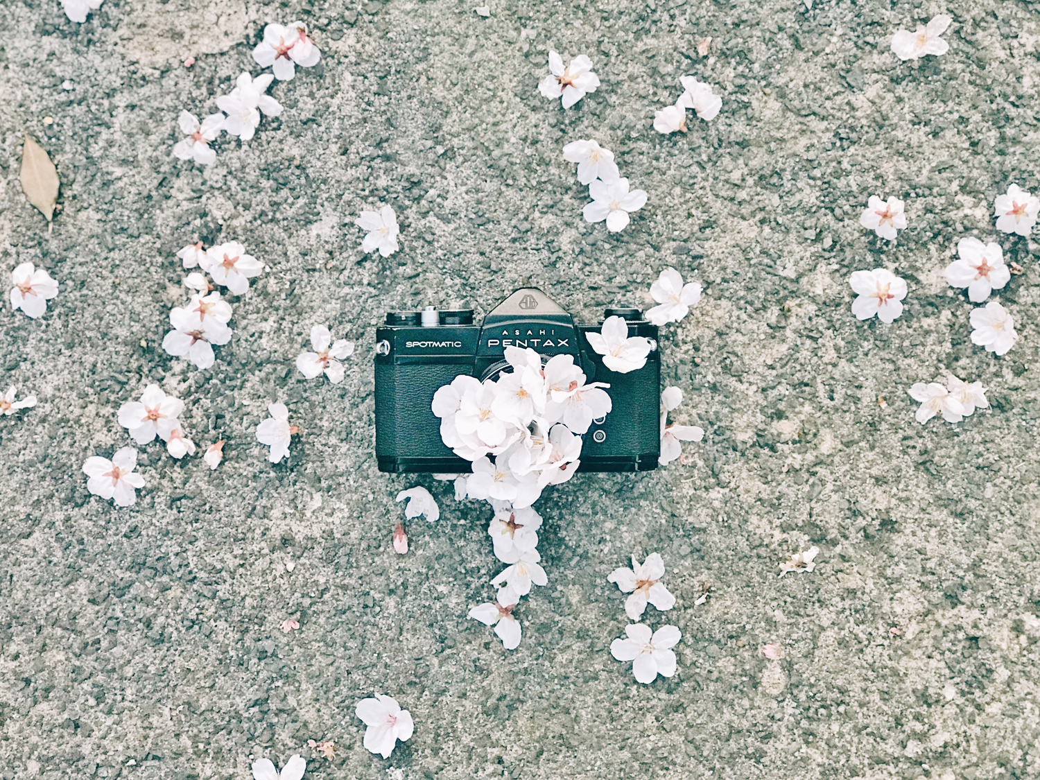 小学校卒業アルバムならフォトレボフォトレボ