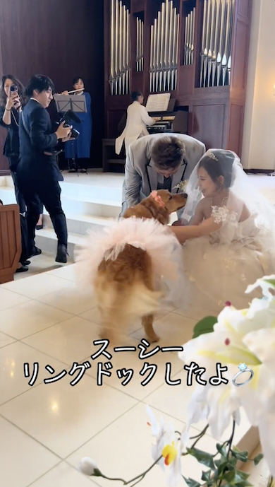 新婦入場をスマホで撮影する父、一番いいシーンでまさかの？ 大爆笑の展開に「歯磨き中に吹いてしまったw」「結末わかってたけど笑ったw」 1 2ライフスタイル ねとらぼ