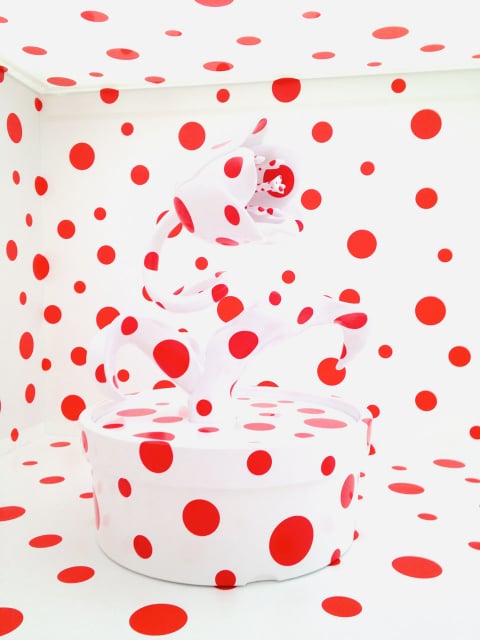 蓮、ハチの巣、スイスチーズ穴の集合体に恐怖を感じるのはなぜ？ログミーBusiness