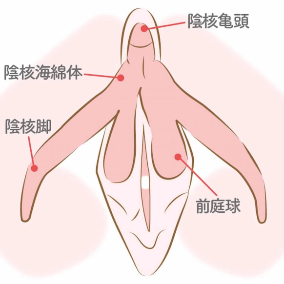 正常位でのセックスのやり方を画像で解説 | 種類はいくつ知ってる？