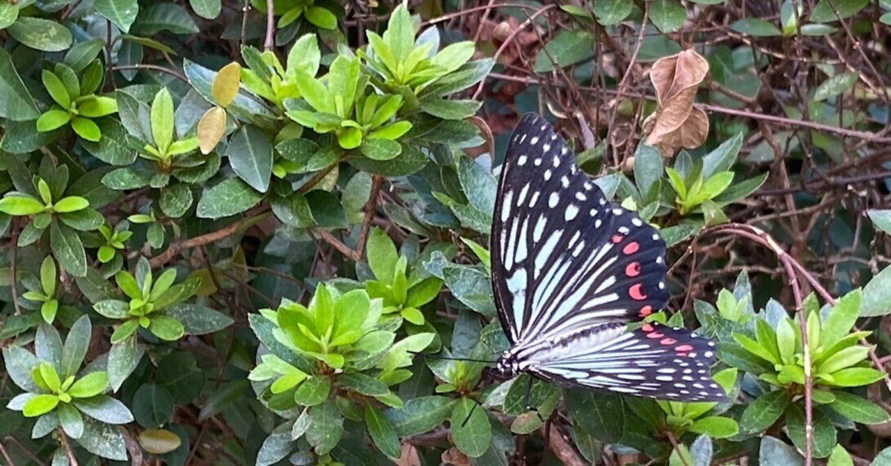 男２人旅父と息子のふたりっきりRakuchinマネージャーシゲの人生ブログ