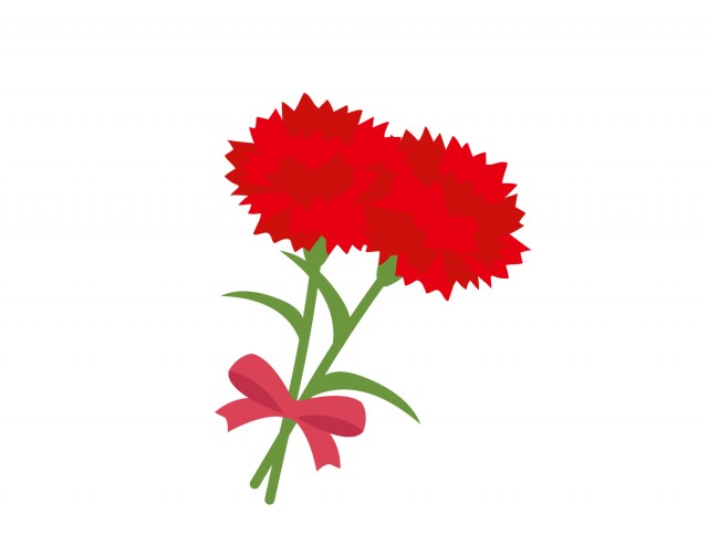 楽天市場 2025 母の日 ギフト花色が選べる 母の日 カーネーションアレンジ母の日 母親 お母さん おばあちゃん 祖母 カーネーションフラワー アレンジメント 送料無料 ギフト スイーツ 和菓子 セット プレゼント 花 ピンク イエロー オレンジ レッド: 花ギフト