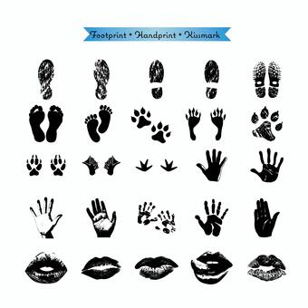 パパ感激！赤ちゃんの手形＆写真でつくる、父の日ギフトアイデア集たまひよ