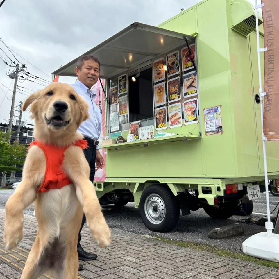 君津市のつくもラーメンの魅力