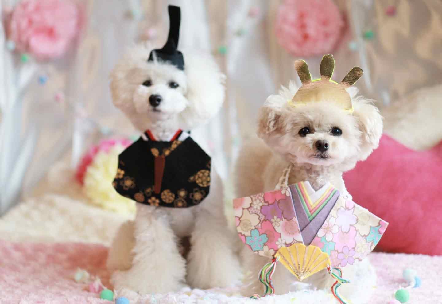 ほほえみ保育園ひな祭り