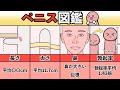 ちんこの理想サイズはトイレットペーパーの芯って本当？測定方法・女性の好みなどを解説 - メンズラボ